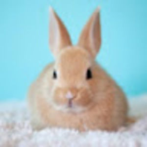 Meet your Posher, Juliana